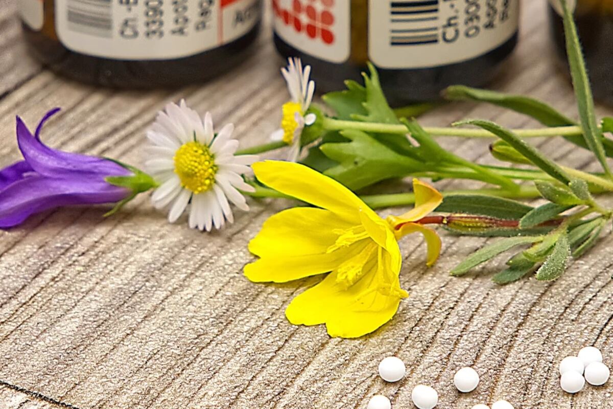 Labelled pharmaceutical bottles alongside botanical material